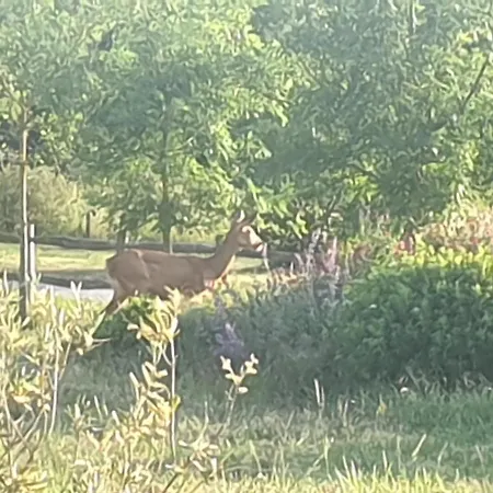 A La Campagne Proche D'angers Et De La Loire