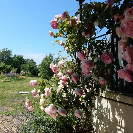 A La Campagne Proche D'angers Et De La Loire Holiday home *