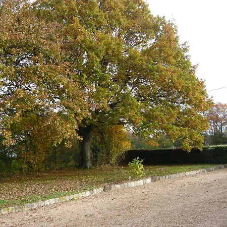 A La Campagne Proche D'angers Et De La Loire