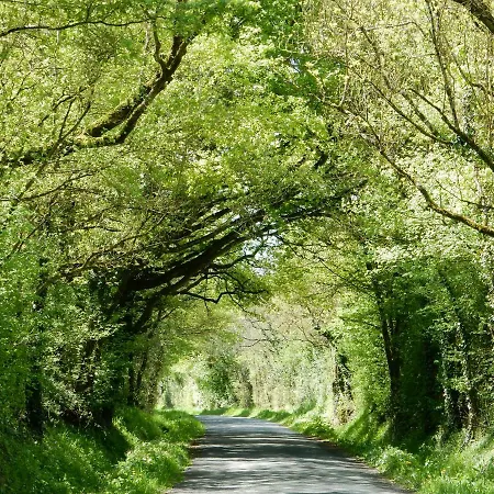 度假居 A La Campagne Proche D'angers Et De La Loire