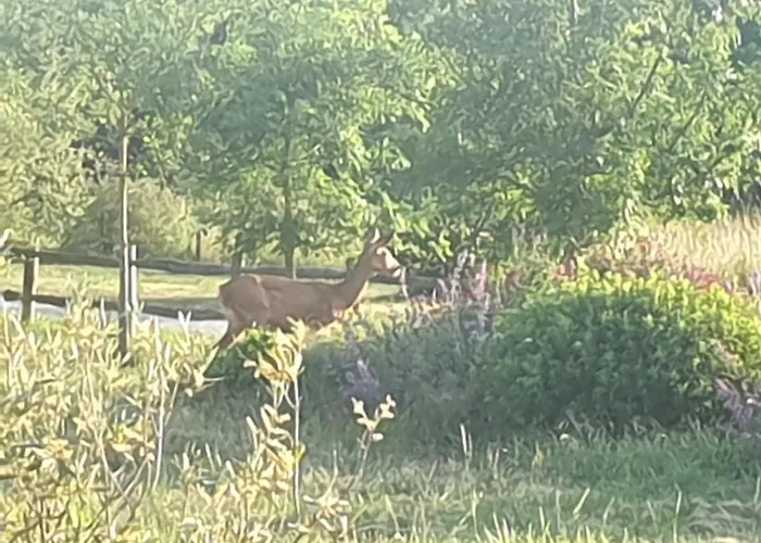 à La Campagne Proche D'angers Et De La Loire