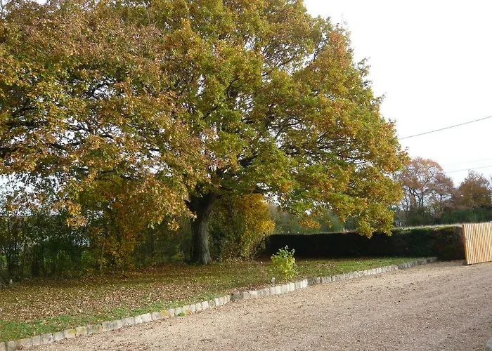 A La Campagne Proche D'angers Et De La Loire
