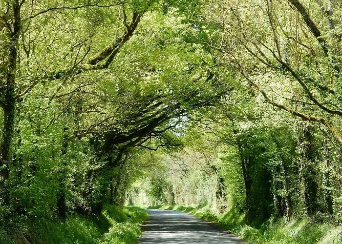 Сasa de vacaciones A La Campagne Proche D'angers Et De La Loire